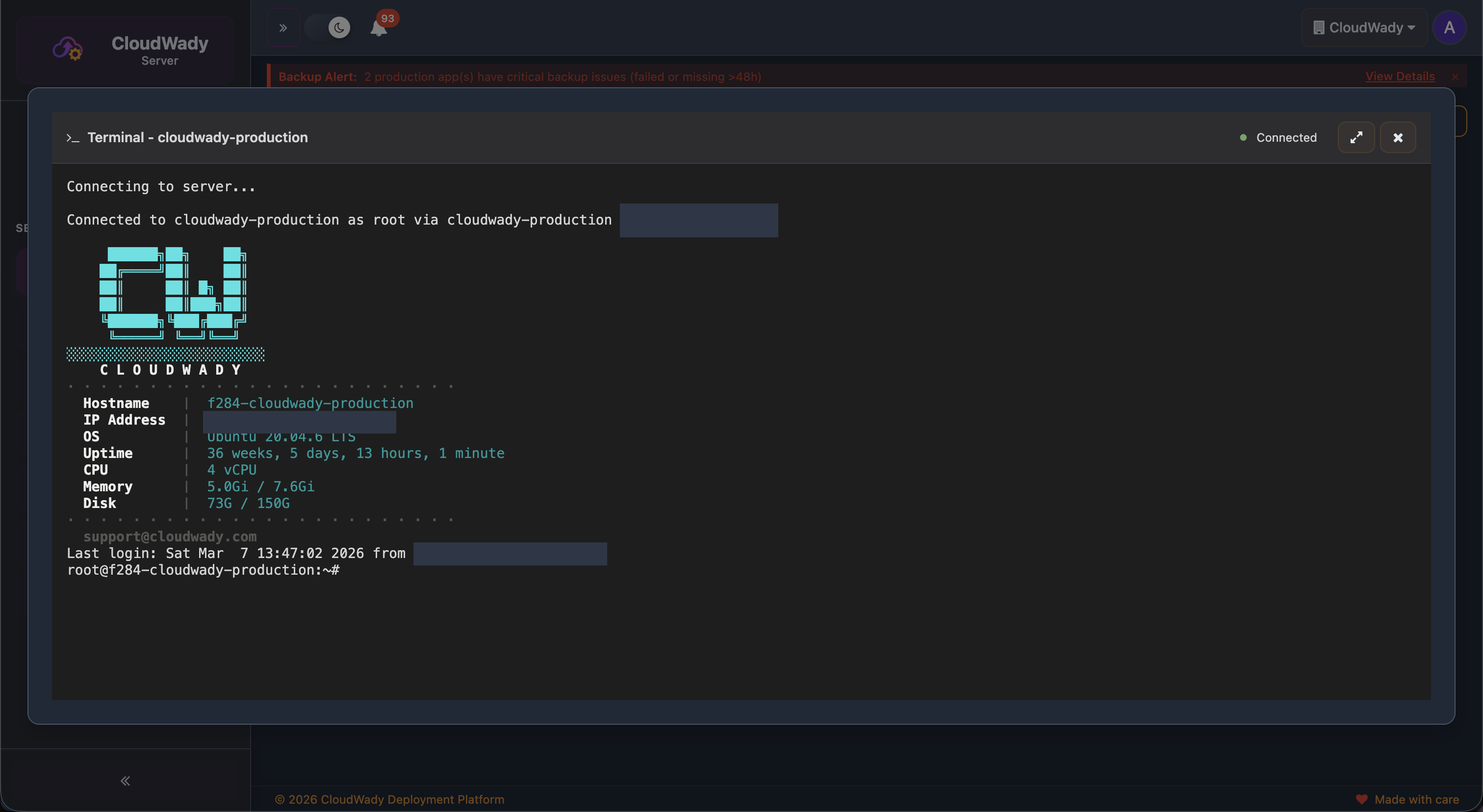 Server SSH Terminal